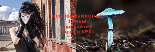 ALPHA-PVP Алексеевка