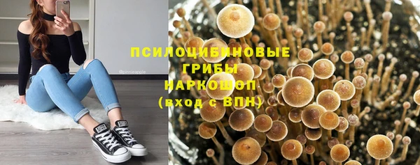 ALPHA PVP Алзамай