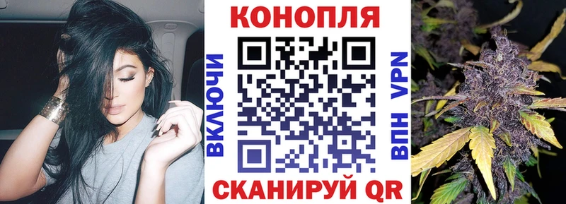 Каннабис MAZAR Яровое